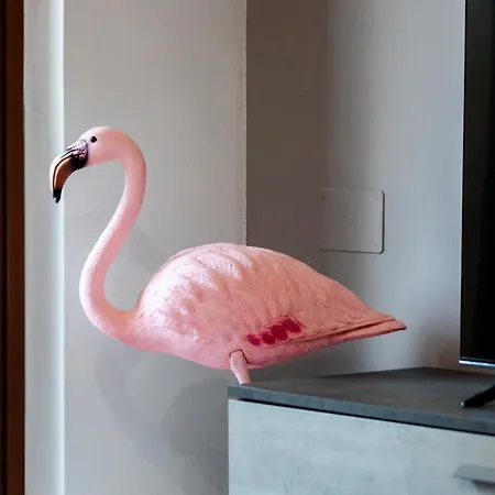 Casa Cosy Flamingo *
