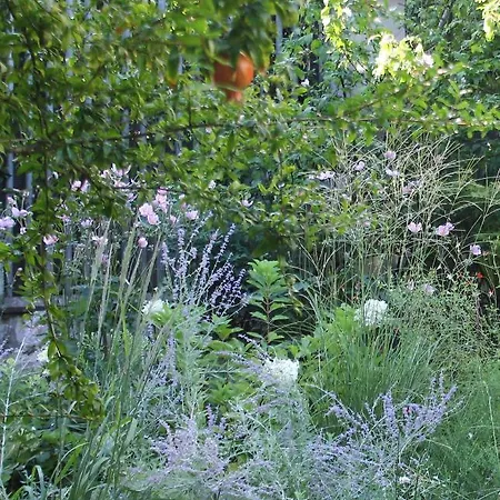 In With Garden, Citylife Daire