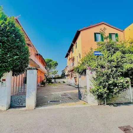 L' Harem Del Monzino *