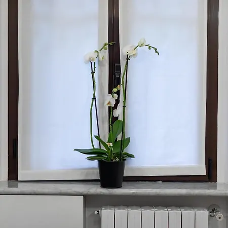 Lägenhet Divi Milano-buenos Aires Flat *