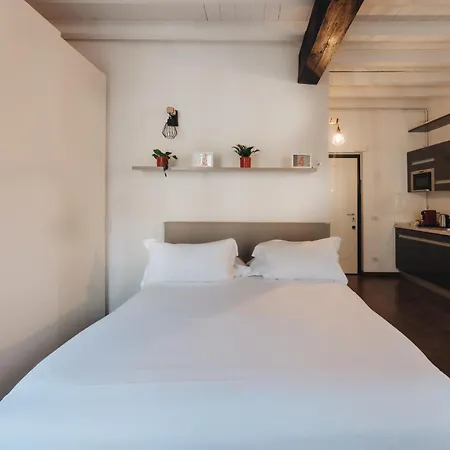 تشارمينغ بريرا - مادونينا * ميلان