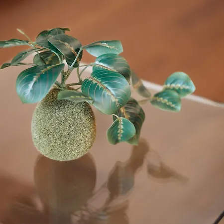 Charming Brera - Madonnina Milão