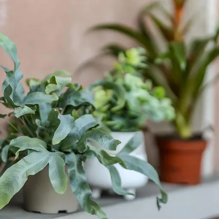 Duomo-bicocca - Cozy Apartment Milan