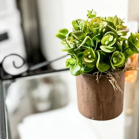 Casa Porpora, Trilocale In Posizione Eccellente * Mediolan