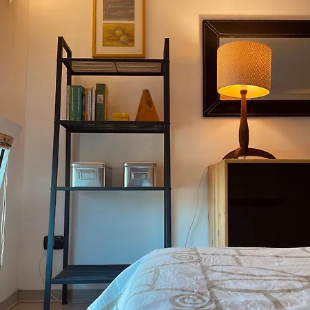 Ampio Loft Su Due Livelli Con Giardino *