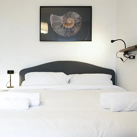 Primopiano - Meda 51