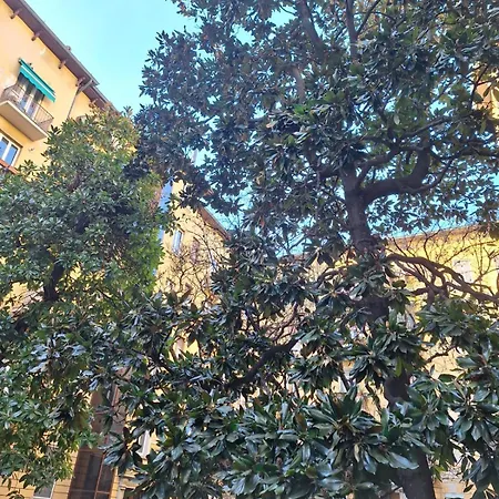 A Casa Di Ross