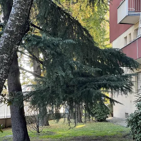 Nene Wifi Gigabit Fiera Rho * Milánó