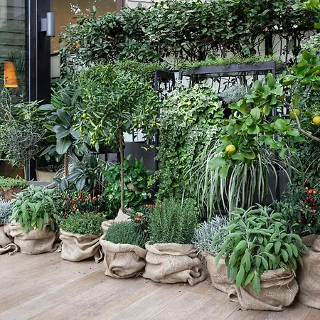 Hotel Starhotels Echo Milano