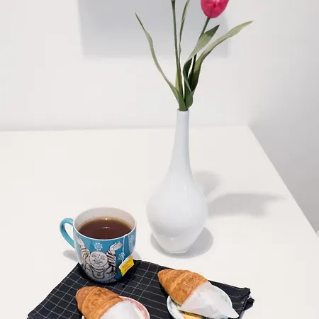 Charming Milanese Aparment *