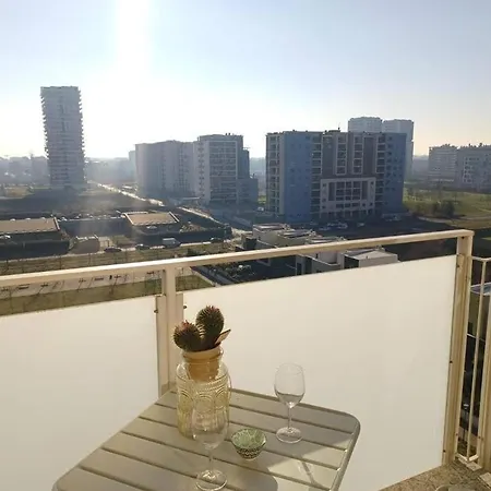 公寓 Sui Generis Penthouse With Terraces 米兰