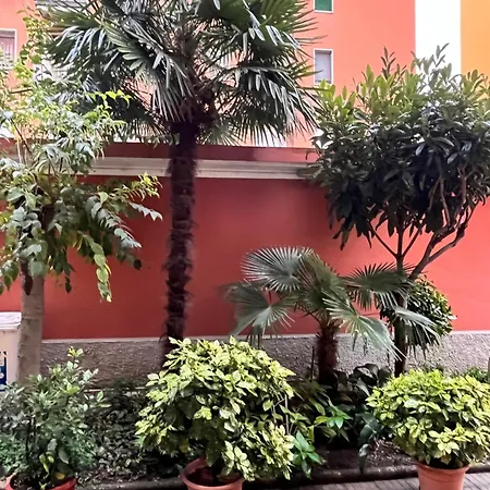 Myhome Forze Armate Kind Mediolan