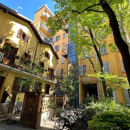 Flowers, A Cozy In *