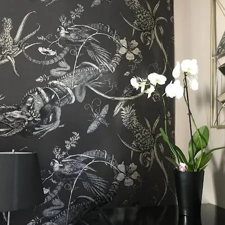 Lippi 42 Single Room's In With Garden Hotel