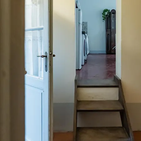 La Corte Di Emily Ap. 1