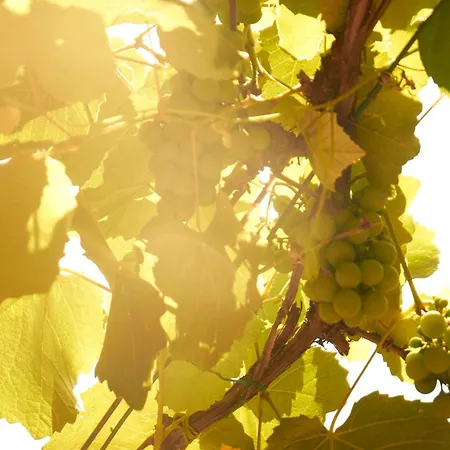 Apartament Lovelyloft - Alzaia Naviglio Mediolan