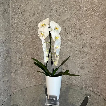 Miap Orti 31 Appartement