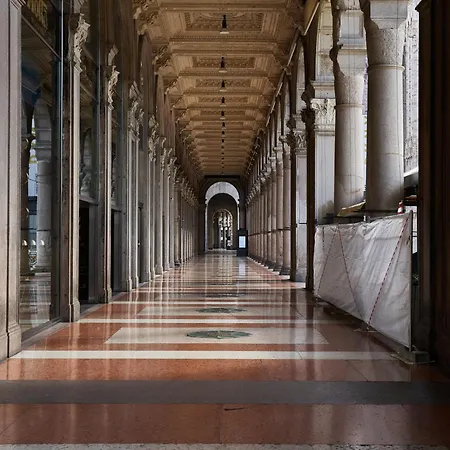 Max Brown Missori, Part Of Sircle Collection 4*