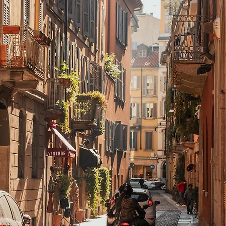 Max Brown Missori, Part Of Sircle Collection Milano