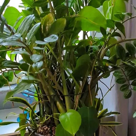 Elegant In Center * Milan