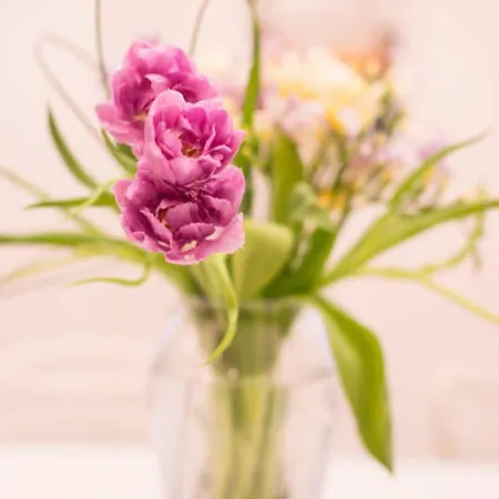 Tortona Citylife Washington M4 *