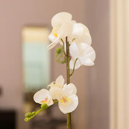 Macchi Delicious By 101flats Апартаменты Милан