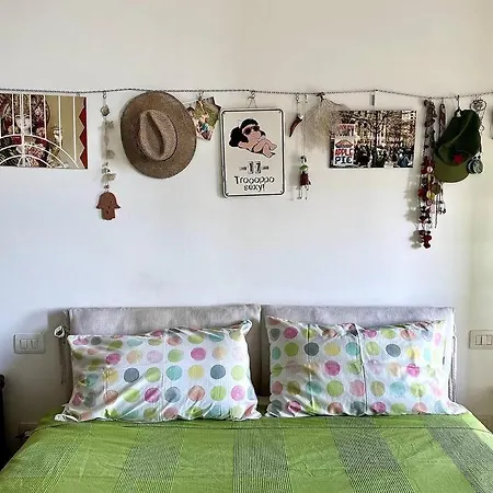 Casa Sofia Design & Cat *