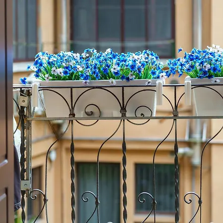 Rent - Modern Flat *