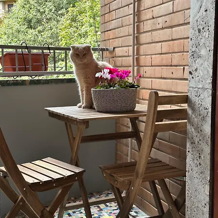 Kittens House Gasthuis Milaan