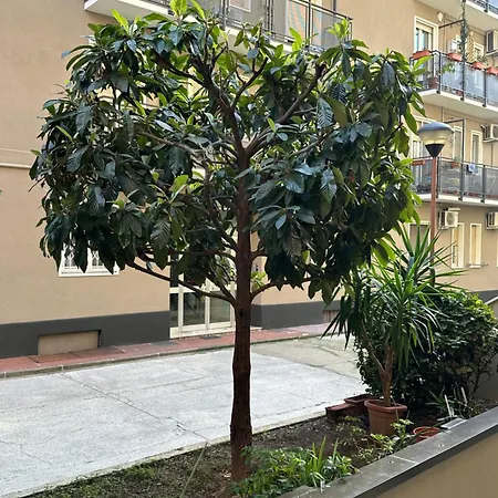 Nolo62, A Nifty Flat In *