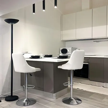 Elegant And Silent Loft In The Center Of アパート *