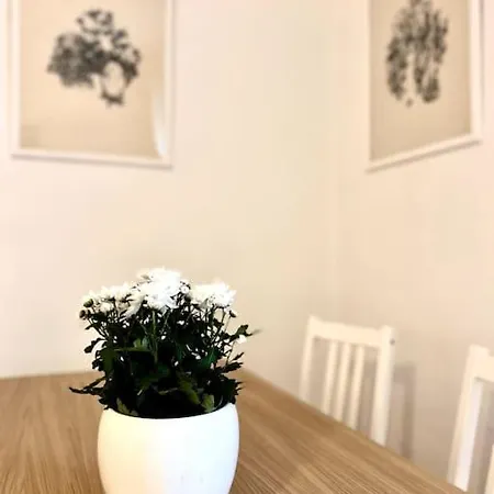 Διαμέρισμα Elegante In Centro *