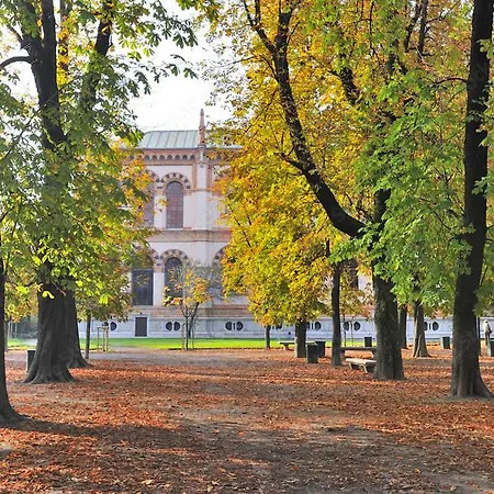 Oasis In The Center Of Daire
