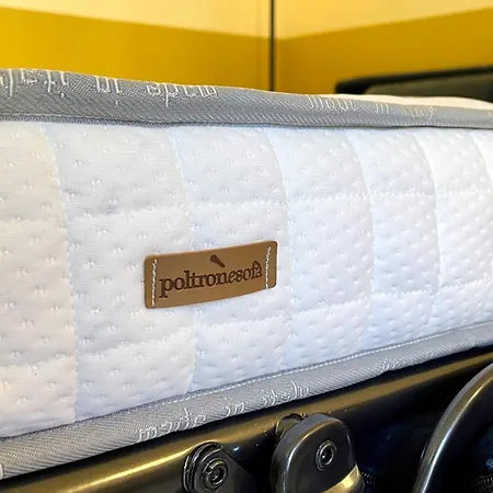 Oasis In The Center Of