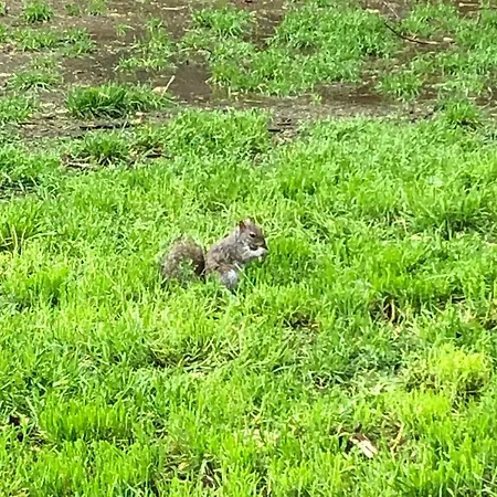 Luminoso Vista San Siro アパート