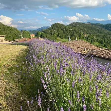 Ca' Nobili - Charming * Vetto