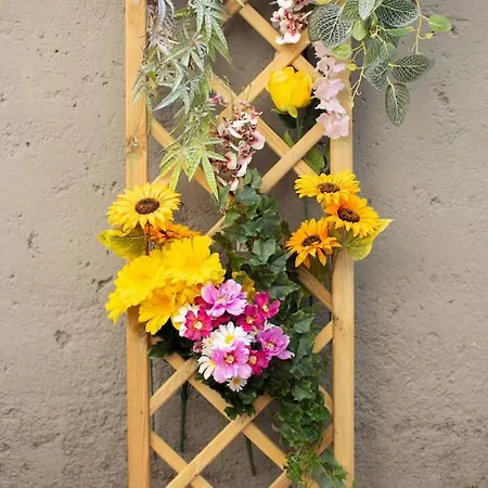 Garden With Free Netflix And Wi-fi Milaan