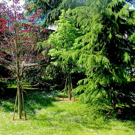 Greenhouse Appartement