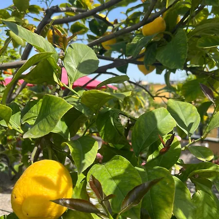 Apartmán Dream Garden Center On Subway 10 Guest *