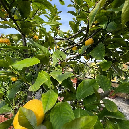 Apartmán Dream Garden Center On Subway 10 Guest *