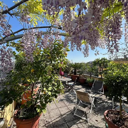 Dream Garden Center On Subway 10 Guest Apartmán Milán