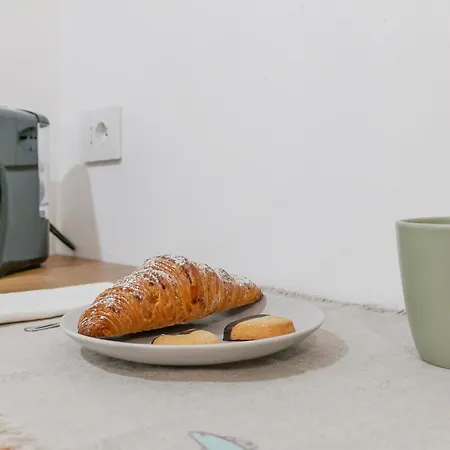 Twin - Cozy Chic In Santa Sofia Mm4 4*