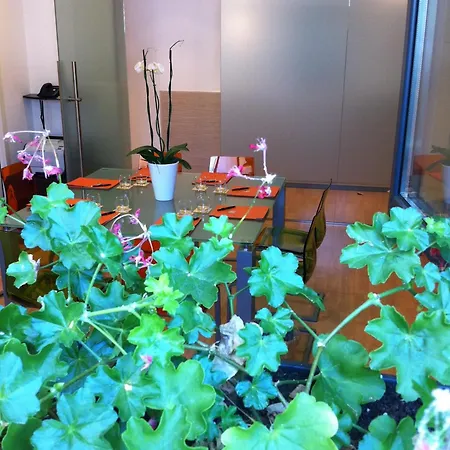 Acca Palace - Aa Milaan