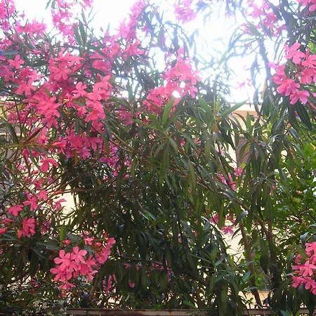 Hotel apartamentowy Giusti 6