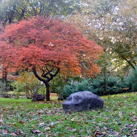 Appartement Exclusive Rooftop With Large Terrace In Solari/tortona