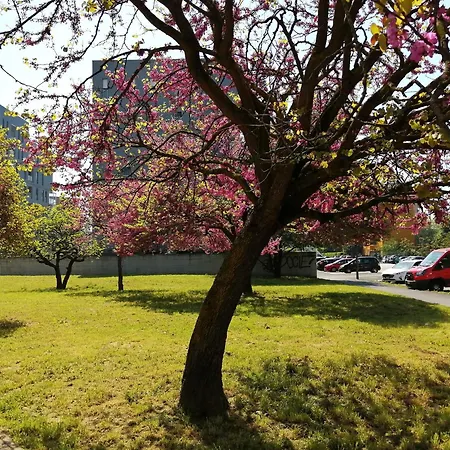 아파트 Navigli House