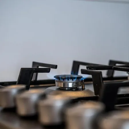 Shortmi Canonica Mediolan