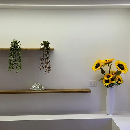 Loft Incantevole Διαμέρισμα