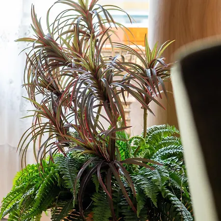 Da Enzo Centro 아파트 *