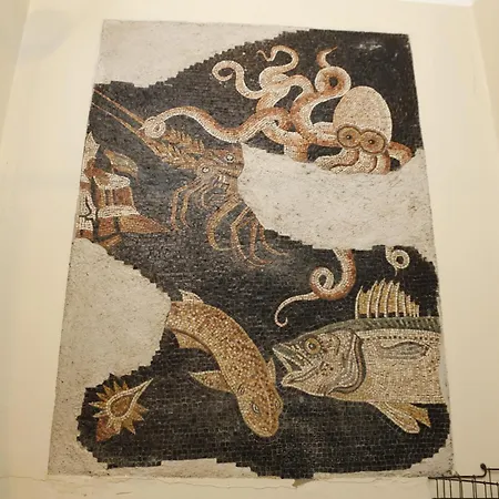 Dhomes - And Appartement *